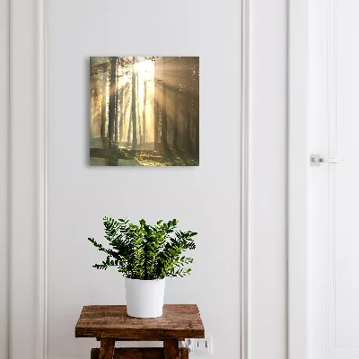 Armoire à clés design Lumière de forêt
