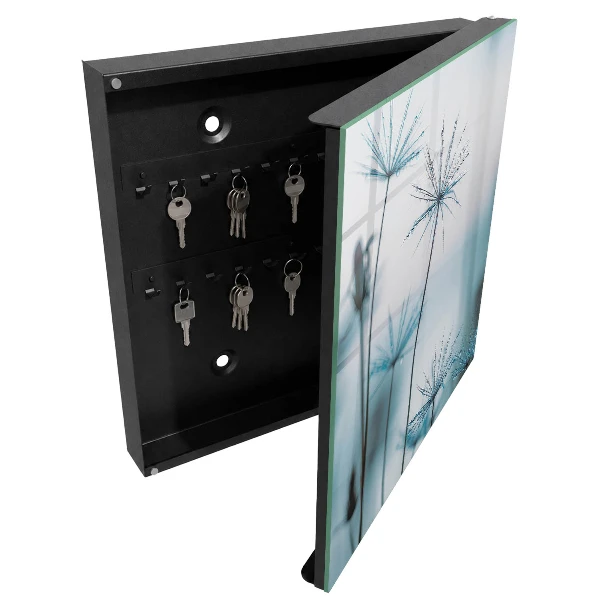 Armoire à clés décorative Pissenlits et rosée