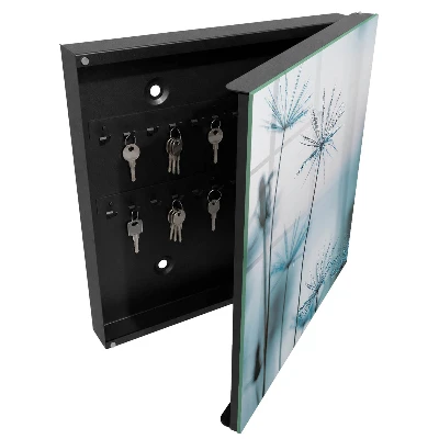 Armoire à clés décorative Pissenlits et rosée