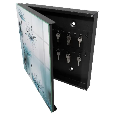 Armoire à clés décorative Pissenlits et rosée