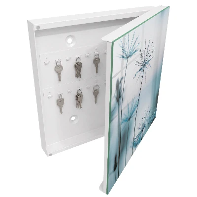 Armoire à clés décorative Pissenlits et rosée