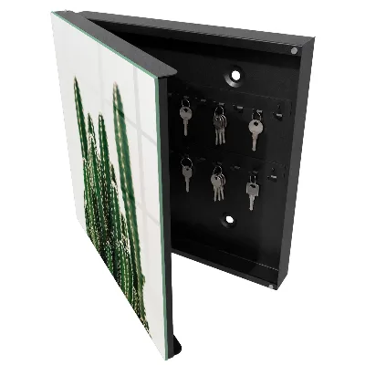 Armoire à clés design Cactus verts