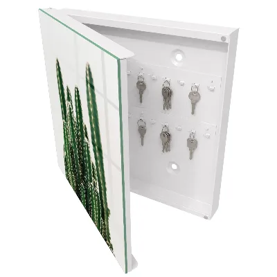 Armoire à clés design Cactus verts