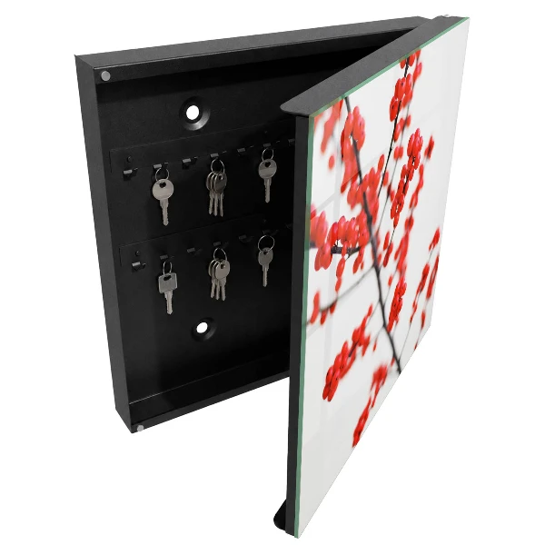 Armoire à clés design Baies rouges