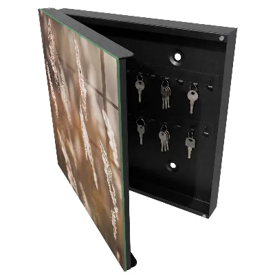 Armoire à clés décorative Herbes dans la prairie