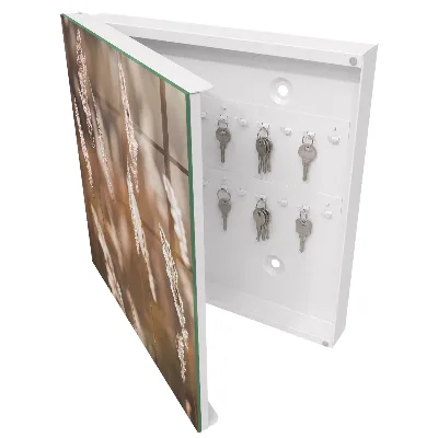 Armoire à clés décorative Herbes dans la prairie