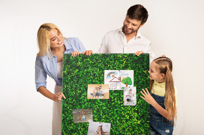 Tableau de liège Fence feuilles