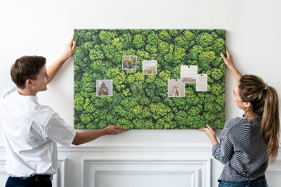 Tableau en liège Une forêt d'une vue d'oeil d'oiseau