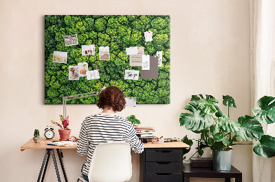 Tableau en liège Une forêt d'une vue d'oeil d'oiseau