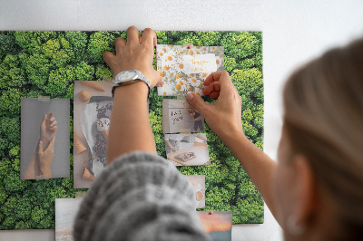 Tableau en liège Une forêt d'une vue d'oeil d'oiseau