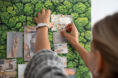 Tableau en liège Une forêt d'une vue d'oeil d'oiseau