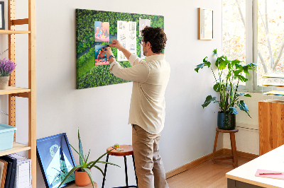 Tableau affichage en liège Rivière dans la forêt