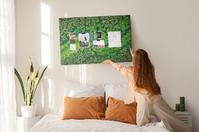 Tableau affichage en liège Rivière dans la forêt