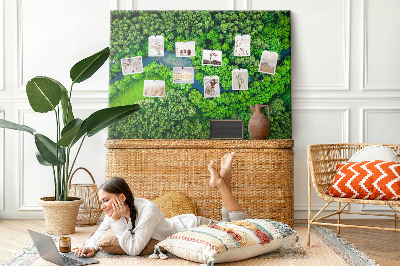 Tableau affichage en liège Rivière dans la forêt