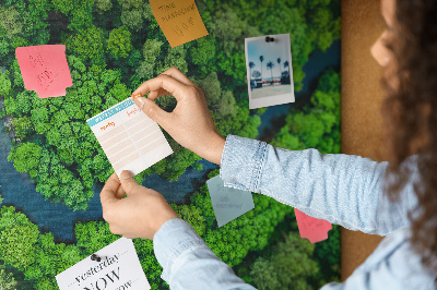 Tableau affichage en liège Rivière dans la forêt