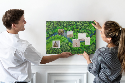 Tableau affichage en liège Rivière dans la forêt