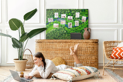 Tableau affichage en liège Rivière dans la forêt