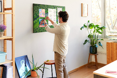 Tableau affichage en liège Rivière dans la forêt