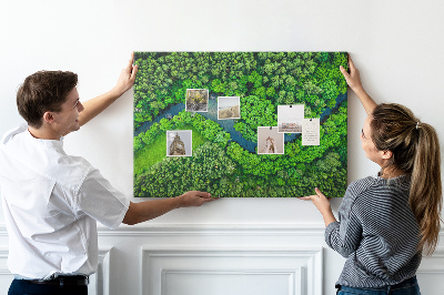 Tableau affichage en liège Rivière dans la forêt