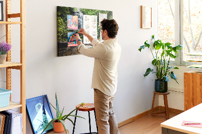 Tableau de liège décoratif Cascade de forêt