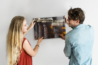 Tableau aimanté Bouteilles en verre