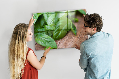 Tableau verre magnétique Feuilles de basilic