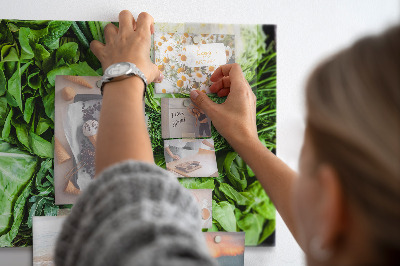 Tableau aimanté Légumes verts