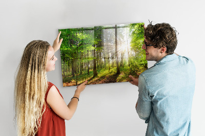 Tableau magnétique cuisine design Lever de soleil en forêt