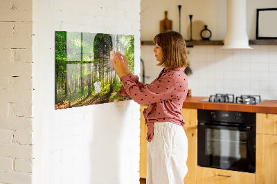 Tableau magnétique cuisine design Lever de soleil en forêt