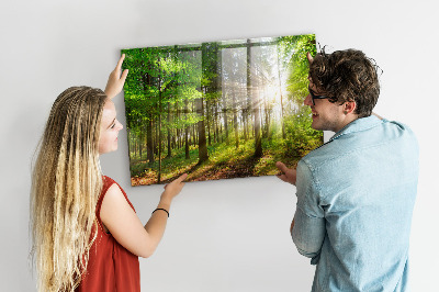 Tableau magnétique cuisine design Lever de soleil en forêt