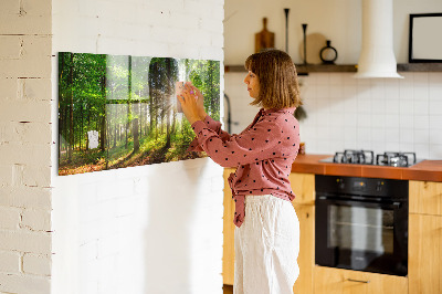 Tableau magnétique cuisine design Lever de soleil en forêt