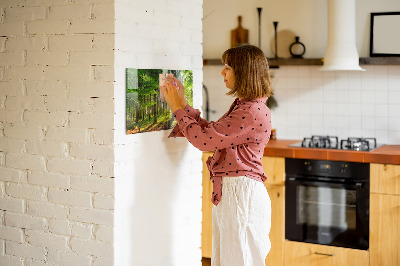 Tableau magnétique cuisine design Lever de soleil en forêt