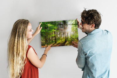 Tableau magnétique cuisine design Lever de soleil en forêt