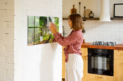 Tableau magnétique cuisine design Lever de soleil en forêt