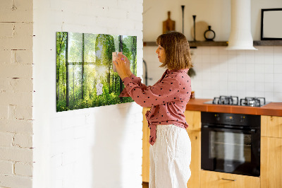 Tableau magnétique cuisine design Arbres forestiers naturels