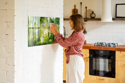 Tableau magnétique cuisine design Arbres forestiers naturels