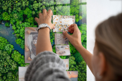 Tableau magnétique cuisine design Rivière dans la forêt