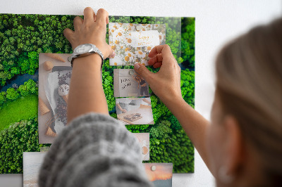 Tableau magnétique cuisine design Rivière dans la forêt