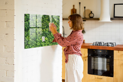 Tableau magnétique cuisine design La forêt vue à vol d’oiseau