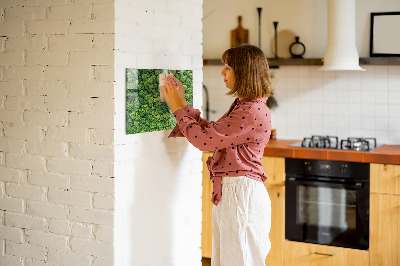 Tableau magnétique cuisine design La forêt vue à vol d’oiseau