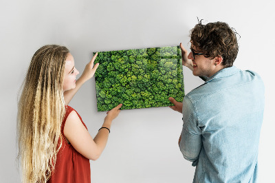 Tableau magnétique cuisine design La forêt vue à vol d’oiseau