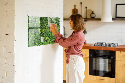 Tableau magnétique cuisine design La forêt vue à vol d’oiseau