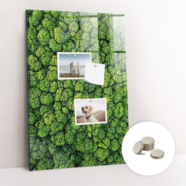 Tableau pour magnet Nature des arbres forestiers