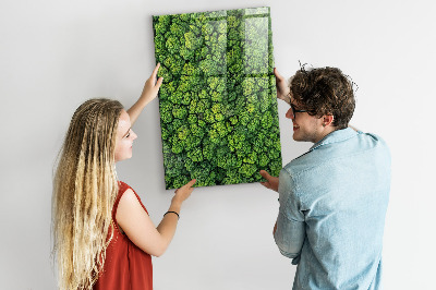 Tableau pour magnet Nature des arbres forestiers