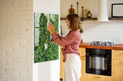 Tableau pour magnet Nature des arbres forestiers