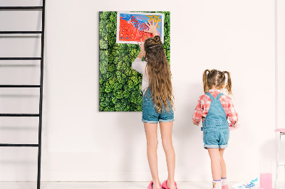 Tableau pour magnet Nature des arbres forestiers