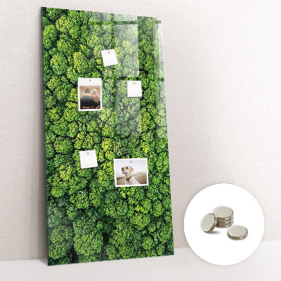 Tableau pour magnet Nature des arbres forestiers