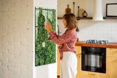 Tableau pour magnet Nature des arbres forestiers