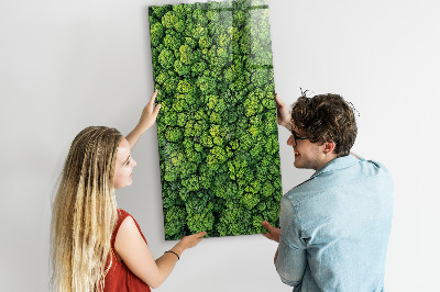 Tableau pour magnet Nature des arbres forestiers