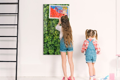 Tableau pour magnet Nature des arbres forestiers